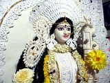 Saraswati Puja 2015-8
